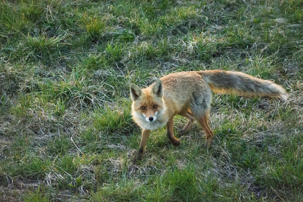 彼の気持ちが知りたいと悩んでいた頃の解決法は？