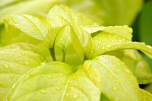 「もっと早く話せばよかった」体験談から学ぶコミュニケーションの重要性とは？