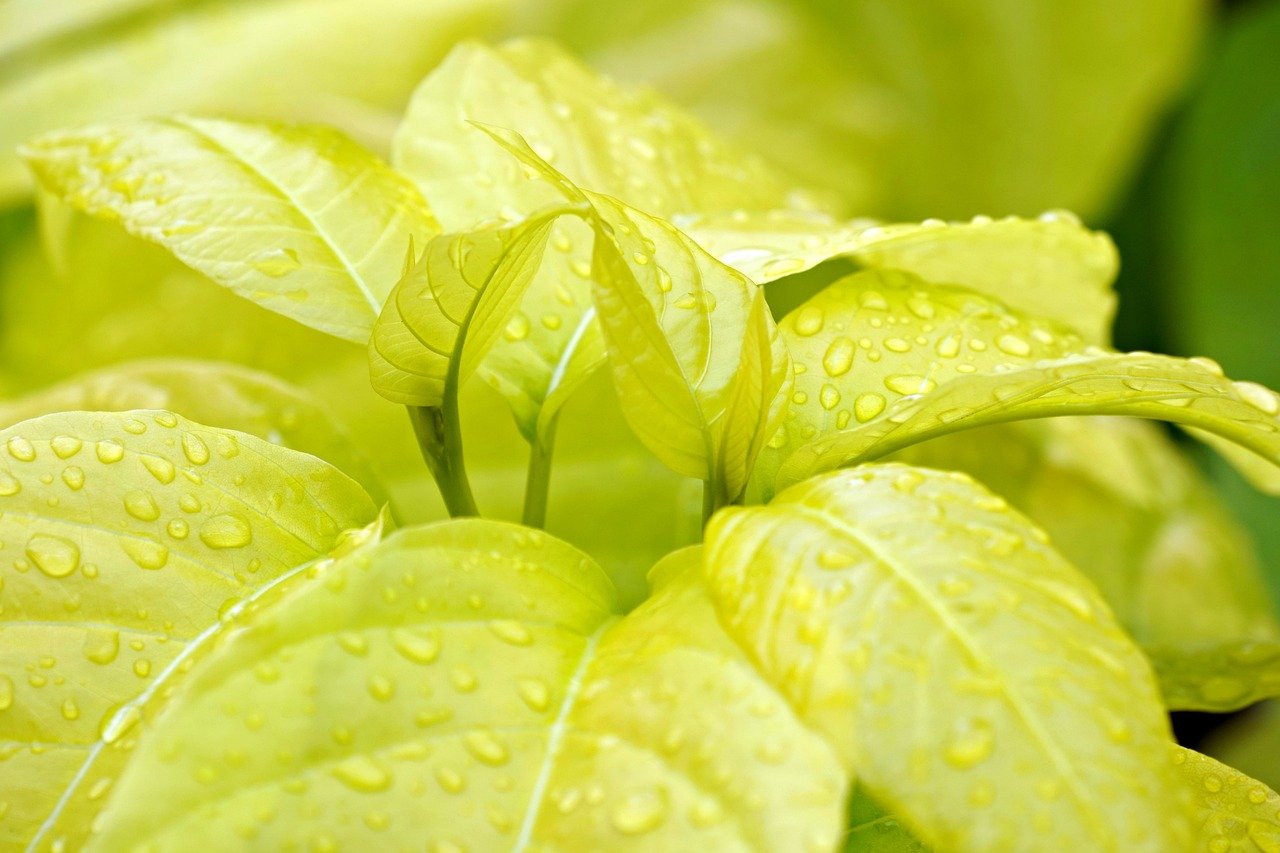 「もっと早く話せばよかった」体験談から学ぶコミュニケーションの重要性とは？