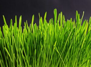 「もっと早く話せばよかった」体験談の共有で得られる気づきとは？