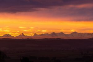 「もっと早く話せばよかった」体験談を聞くと何が変わるのか？