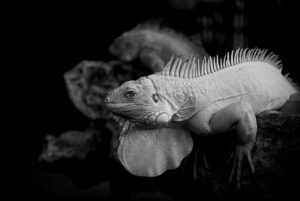 「もっと早く話せばよかった」体験談を通じて学んだコミュニケーションの重要性は？