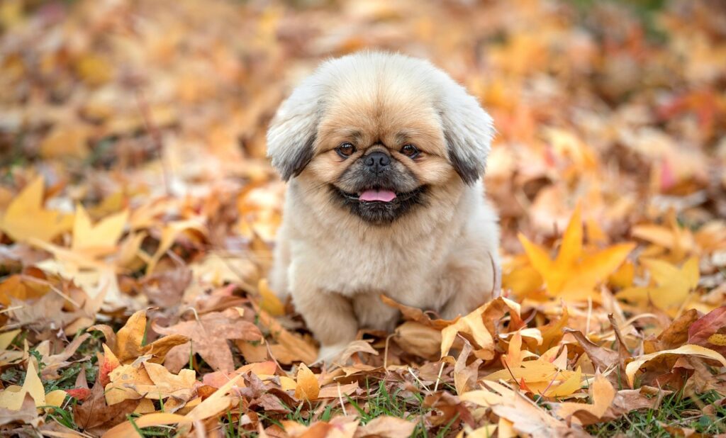 不安が強い人の恋愛傾向にはどんな特徴があるの？