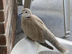 彼の気持ちがわからず泣いた日はどう乗り越えるべき？