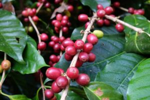 彼の本音を知りたい場合のおすすめ方法は？