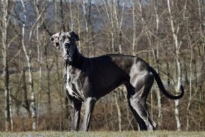 彼の笑顔が増える理由とは？