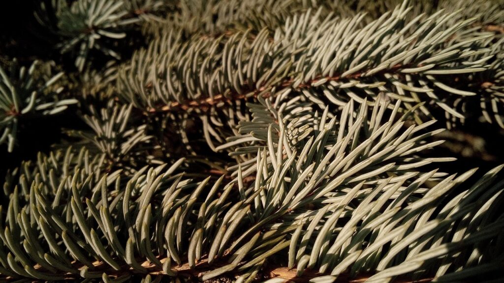 元彼を忘れられないあなたが乗り越えるための方法は？