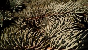 元彼を忘れられないあなたが乗り越えるための方法は？