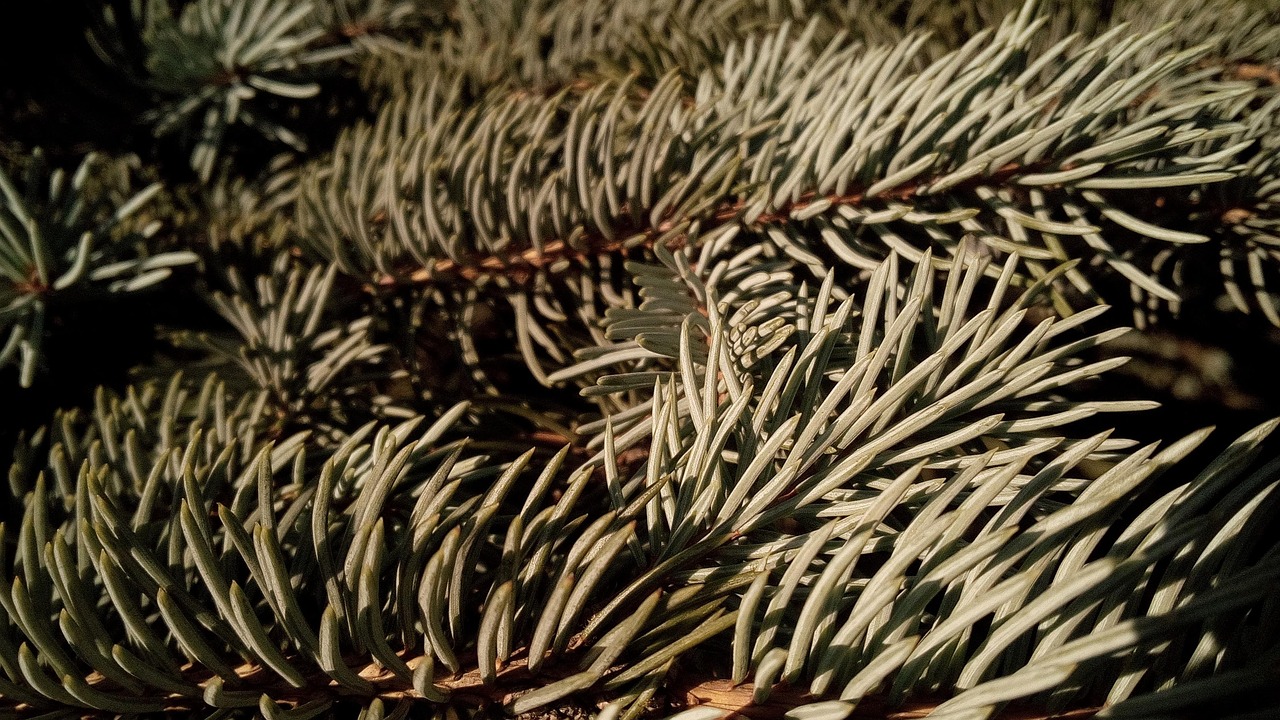 元彼を忘れられないあなたが乗り越えるための方法は？