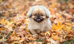 嫌われるのが怖いと感じる恋愛心理とは何か？