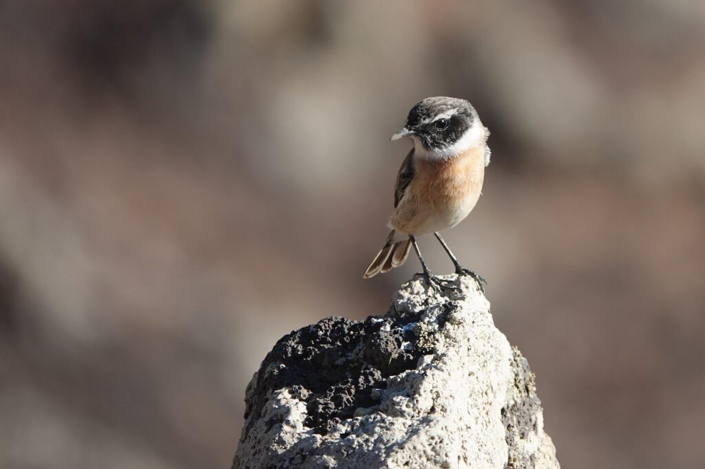彼の優しさは嘘か本気か、見極める方法は？
