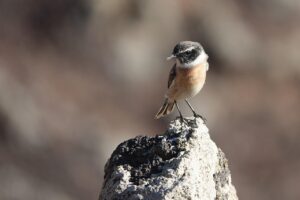 彼の優しさは嘘か本気か、見極める方法は？