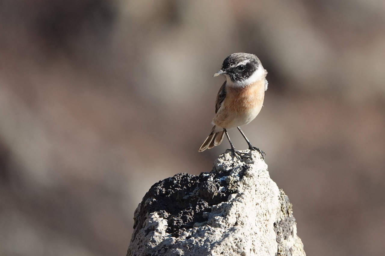 彼の優しさは嘘か本気か、見極める方法は？