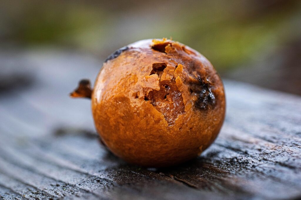 甘えられない女性の心理とはどのようなものか？