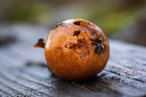 甘えられない女性の心理とはどのようなものか？