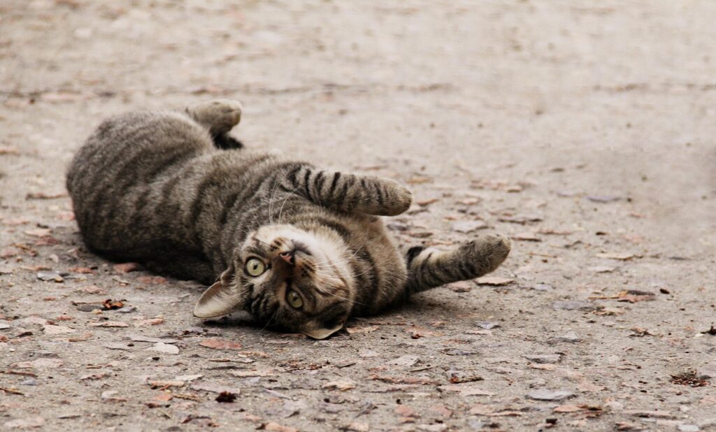 甘え下手な女性が上手に甘えるための方法は？