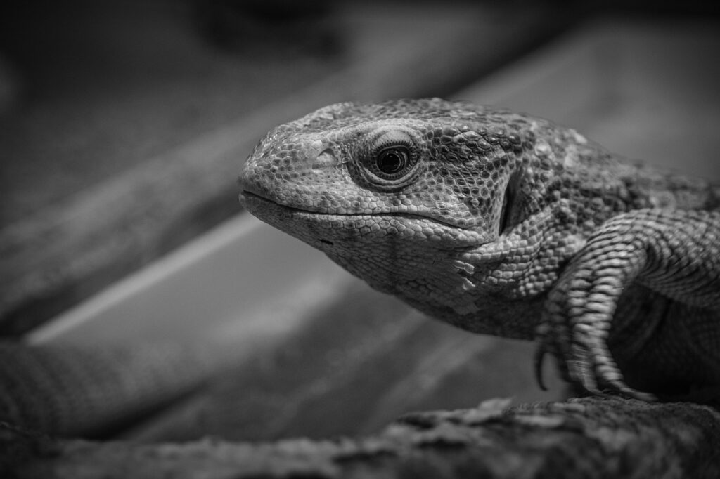 彼氏の本気度を確認するための具体的な方法は？