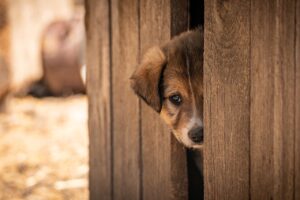 男性が恋愛に臆病な時に見られるサインとは？