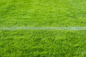 LINEで素っ気ない返信をする時に絵文字なしで伝えるコツは？