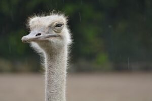 返信が遅いとイライラする時の対処法は？