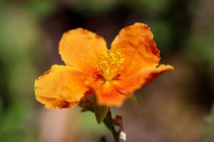 連絡が減った時の男性の本音とは？