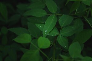 寂しい夜の対処法はこれで決まり？